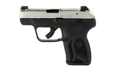 Ruger LCP MAX .380 ACP pistol with 2.8-inch barrel, stainless slide, black polymer frame, and 10-round magazine